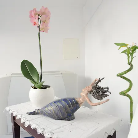 ベッド・アンド・ブレックファスト La Soffitta Sul Mare 3*